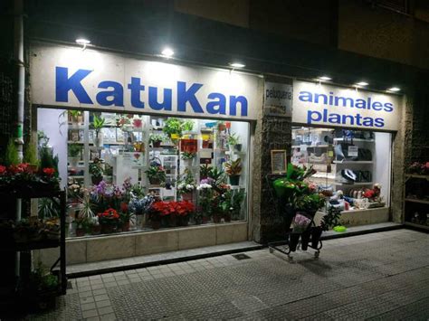 Animales y Plantas Katukan.